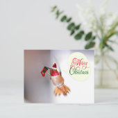 Frohe Weihnachten Hummingbird mit Weihnachten Stru (Stehend Vorderseite)