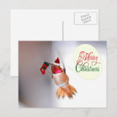 Frohe Weihnachten Hummingbird mit Weihnachten Stru (Vorne/Hinten)