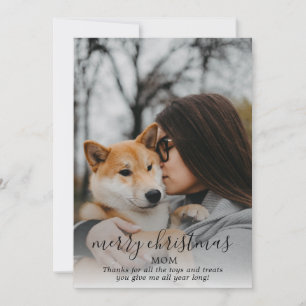 Frohe Weihnachten Hunde-Foto vom Hund