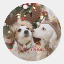 Frohe Weihnachten, Hunde in Liebe Runder Aufkleber