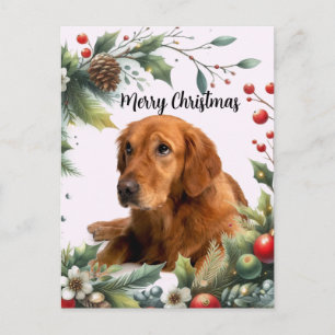 Frohe Weihnachten Hundeliebhaber Golden Retriever  Postkarte