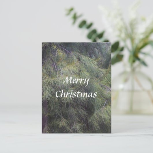 Frohe Weihnachten in den Pinien (Stehend Vorderseite)