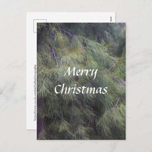 Frohe Weihnachten in den Pinien (Vorne/Hinten)