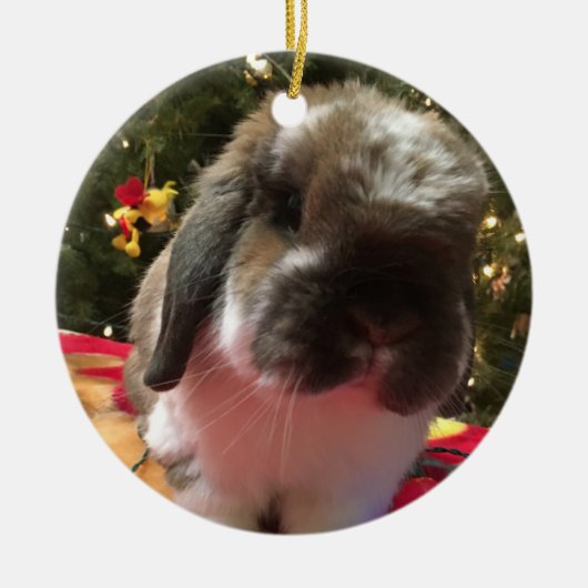 Frohe Weihnachten jeden Bun! Keramik Ornament (Vorne)