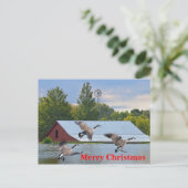 Frohe Weihnachten Kanada Gänse Landung auf dem Tei (Stehend Vorderseite)