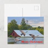 Frohe Weihnachten Kanada Gänse Landung auf dem Tei (Vorne/Hinten)