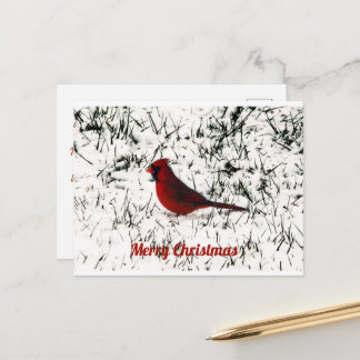 Frohe Weihnachten Kardinal Klappkarte Postkarte