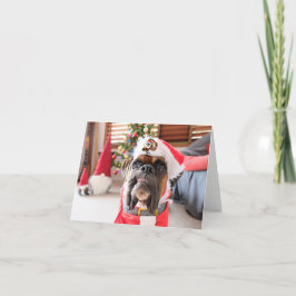 Frohe Weihnachten. Karte