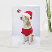 Frohe Weihnachten. Karte (Vorderseite)