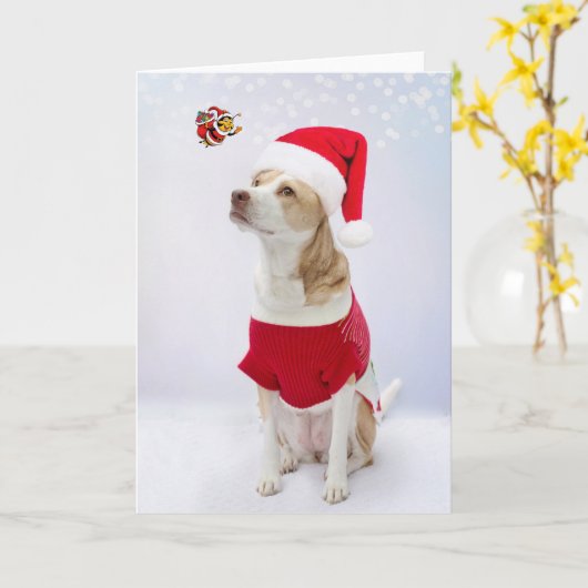 Frohe Weihnachten. Karte (Gelbe Blume)