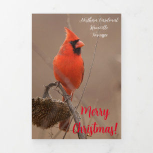 "Frohe Weihnachten" Karte mit Kardinal