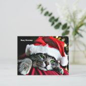 Frohe Weihnachten Katze (Stehend Vorderseite)