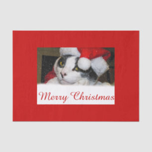 Frohe Weihnachten - Katze im Weihnachtskleid Seidenpapier