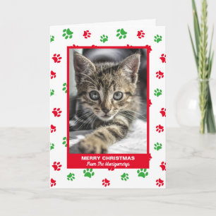 Frohe Weihnachten Katze Rot Grün Pfotenabdrücke Ha