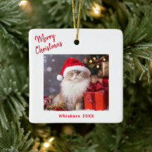 Frohe Weihnachten Katzen Foto Feiertag