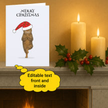 Frohe Weihnachten Katzenyoga