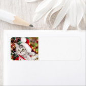 Frohe Weihnachten Kitten (Insitu)