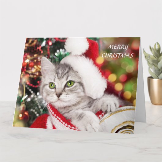 Frohe Weihnachten Kitten Karte (Kleine Pflanze)