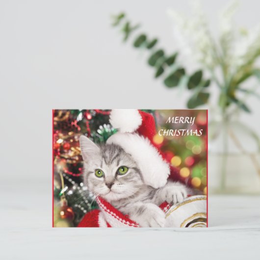 Frohe Weihnachten Kitten Postkarte (Stehend Vorderseite)