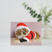 Frohe Weihnachten Kittykatze Sankt-Anzug (Stehend Vorderseite)