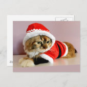 Frohe Weihnachten Kittykatze Sankt-Anzug (Vorne/Hinten)