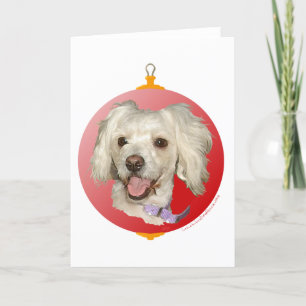 Frohe Weihnachten Kleiner Weißer Hund Pudel / Bich
