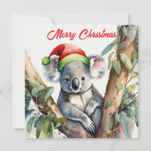 Frohe Weihnachten Koala sitzt in Gumtree
