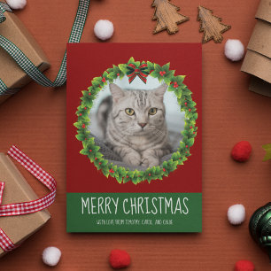 Frohe Weihnachten Kranz Süßer Benutzer Katzen Foto