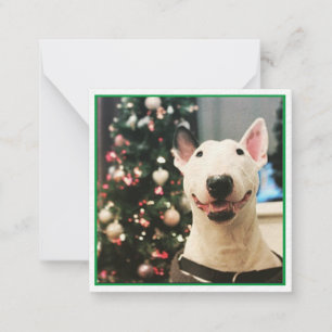 Frohe Weihnachten lächeln Bull Terrier Mitteilungskarte