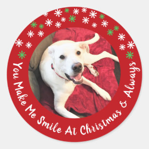 Frohe Weihnachten lächelnd Hund Foto Funny Red Cir Runder Aufkleber