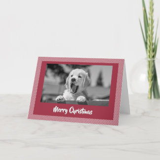 Frohe Weihnachten lächelnder Golden Retriever Kart Dankeskarte