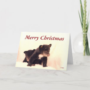 Frohe Weihnachten - Lakota & Paiute Grußkarte