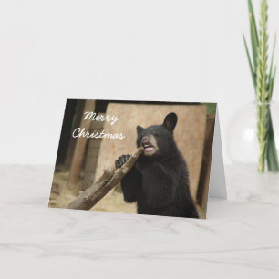 Frohe Weihnachten - Lanikai