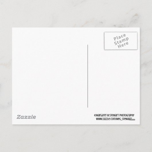 Frohe Weihnachten Little Snowy Chipmunk Postcard (Rückseite)