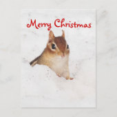 Frohe Weihnachten Little Snowy Chipmunk Postcard (Vorderseite)
