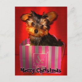 Frohe Weihnachten Little Yorkie individuell anpass