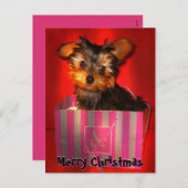 Frohe Weihnachten Little Yorkie individuell anpass (Vorne/Hinten)