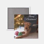 Frohe Weihnachten! Magnet (Vorderseite/Rückseite)