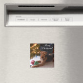 Frohe Weihnachten! Magnet (In Situ (Geschirrspüler))