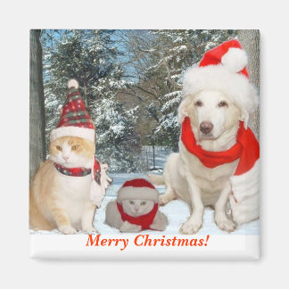 Frohe Weihnachten! Magnet