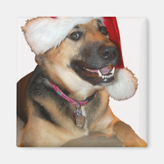 Frohe Weihnachten Magnet