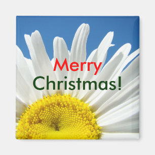 Frohe Weihnachten! Magnetgeschenke Weiße Daisy-Blu Magnet