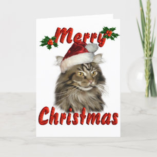 Frohe Weihnachten Maine Coon Cat