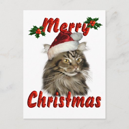 Frohe Weihnachten Maine Coon Cat (Vorderseite)
