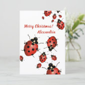 Frohe Weihnachten Marienkäfer Rot Schwarz auf Weiß Dankeskarte (Stehend Vorderseite)