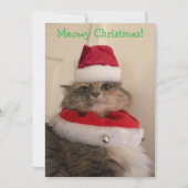 Frohe Weihnachten Miezekatz Karte (Vorderseite)