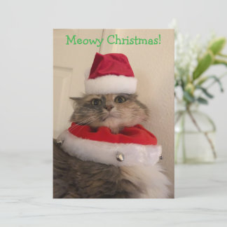 Frohe Weihnachten Miezekatz Karte
