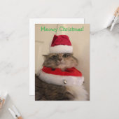 Frohe Weihnachten Miezekatz Karte (Vorderseite/Rückseite Beispiel)