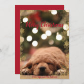 Frohe Weihnachten mit goldenem Schneeflockenrahmen (Vorne/Hinten)