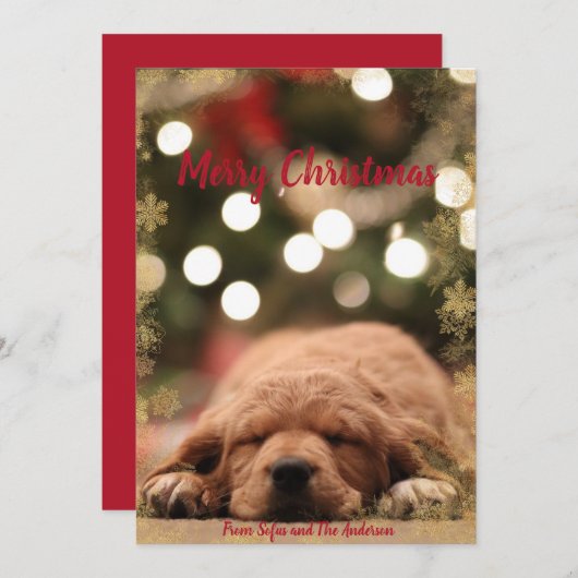 Frohe Weihnachten mit goldenem Schneeflockenrahmen (Vorne/Hinten)